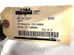 CNH Case 20 Hydraulic Cylinder Ram 3000 PSI 84381557 40TD16-175 New