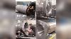 Fabrication De Manchon De Cylindre Hydraulique De 1000 Tonnes Avec Auto-gorge 930x640 Sur Youtube Devient Viral Comme